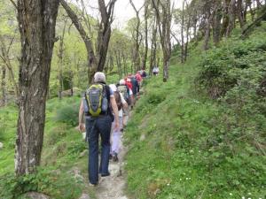 Insel Ischia. Wandergruppe
