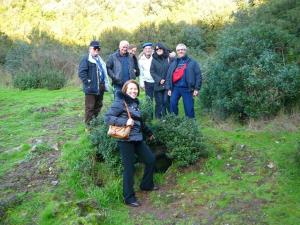 Ischia. Ausflug. Vulkanminibustour