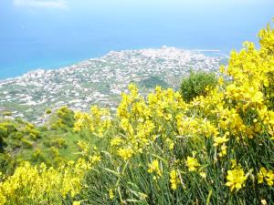Insel Ischia. GEO-Wanderung
