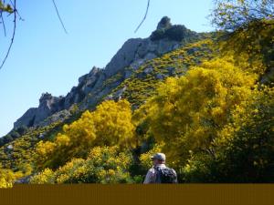 Insel Ischia. Wanderung zu den Epomeo Berggipfel