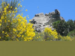 Insel Ischia. Epomeo Berggipfel